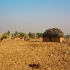 House inside desert 