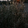 Sunrise time