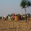 Clean village near Jaisalmer