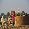 Daily life inside desert in a village near Jaisalmer