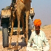 Guide Punam Singh and his camel