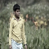 Moods of boy in a park