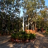 Inside campus of ni-msme green around