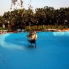 Inside NTR Park a fishing pond with boat