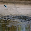 Fishing 01