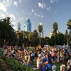 Australia day