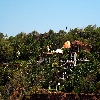 Eighty crore palace at Dolphin bay in Goa