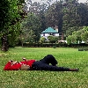 Person taking rest on the green grass lawn at Botanical garden of Ooty