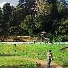 Person looking at a viewrs point in Botanical garden Ooty