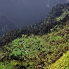 Valley view