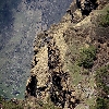 Can you see a human face in this picture