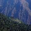 The greenery around our trekking path