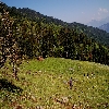 Giangad to Talhouti trekking