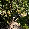 A wooden bridge  on the way