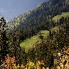 Green valley from top