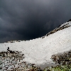 Snow and tree during trekking