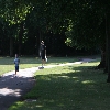 Lampton park