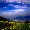 View near Kedarkantha camp