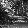 A park back of my office
