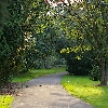 Kew garden