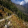 Road near Gangotri
