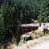 Green forest near Gangotri temple