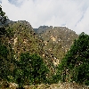 Joshimath greenery 