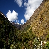 Joshimath to Badrinath Dham