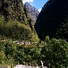 On the way to Badrinath Dham from Joshimath