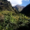 Badrinath Dham way