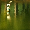 Pond heron from a distance in a lake shot with 100-400 L IS Canon 20D
