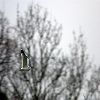 flight