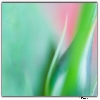 Abstract macro photography of leaves