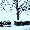 London snow fall