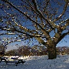 London snow fall