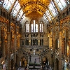 Natural history museum