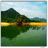 Green color water in river Godavari 