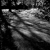 Mysterious Road