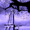 Blue s