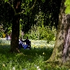 Hampton Court palace garden