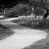 Paths