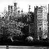 Hampton garden