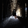 Around the temple of Sri Ekambareswarar 