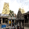 Mango tree within the complex of Sri Ekambareswarar temple