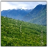 naggar valley view from Manali at Kakhnal