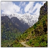 approach road near Kothi