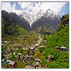 houses surrounding greenery with snow peak at bachground at Manali