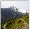 Steep roads towards Rohtang pass