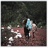 woman carrying food for husband
