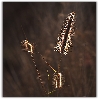 Tender lighting on grass